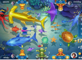 k·yun新网站登录下载app最新版